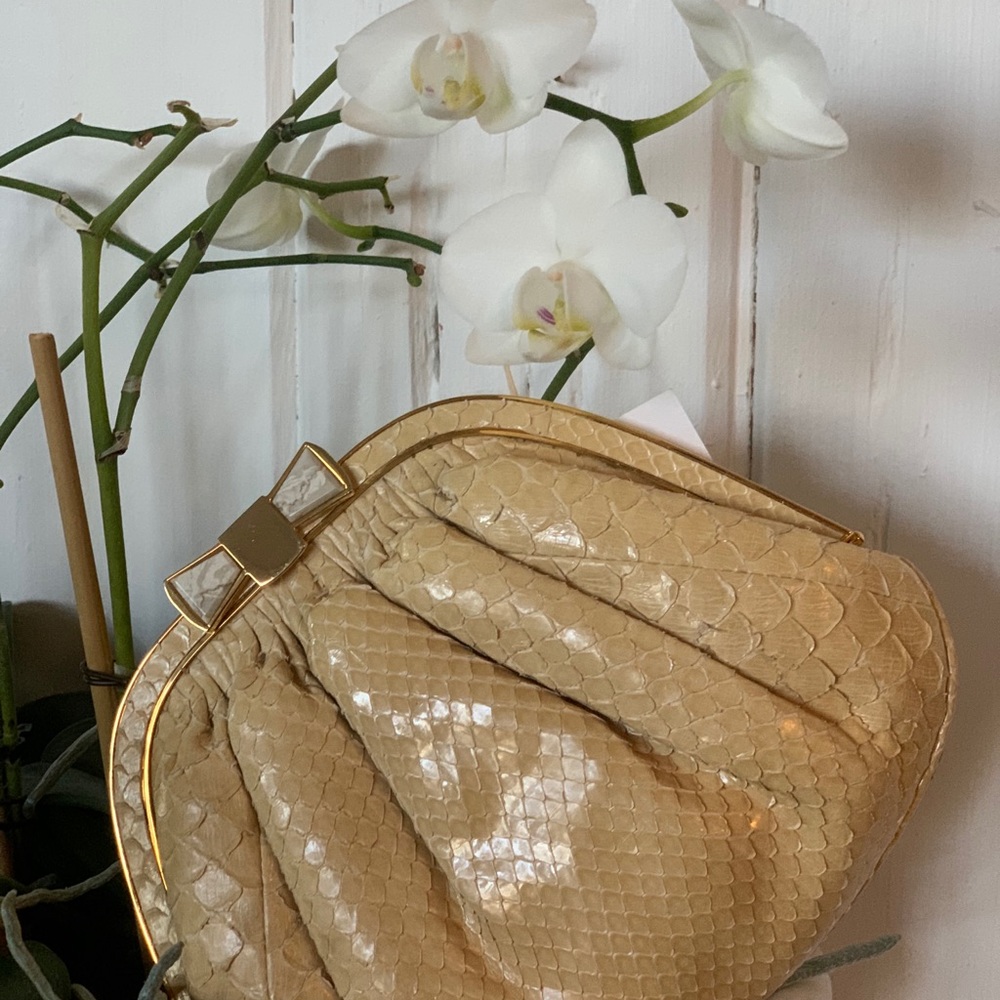 Colombetti Snake Skin Clutch Shoulder